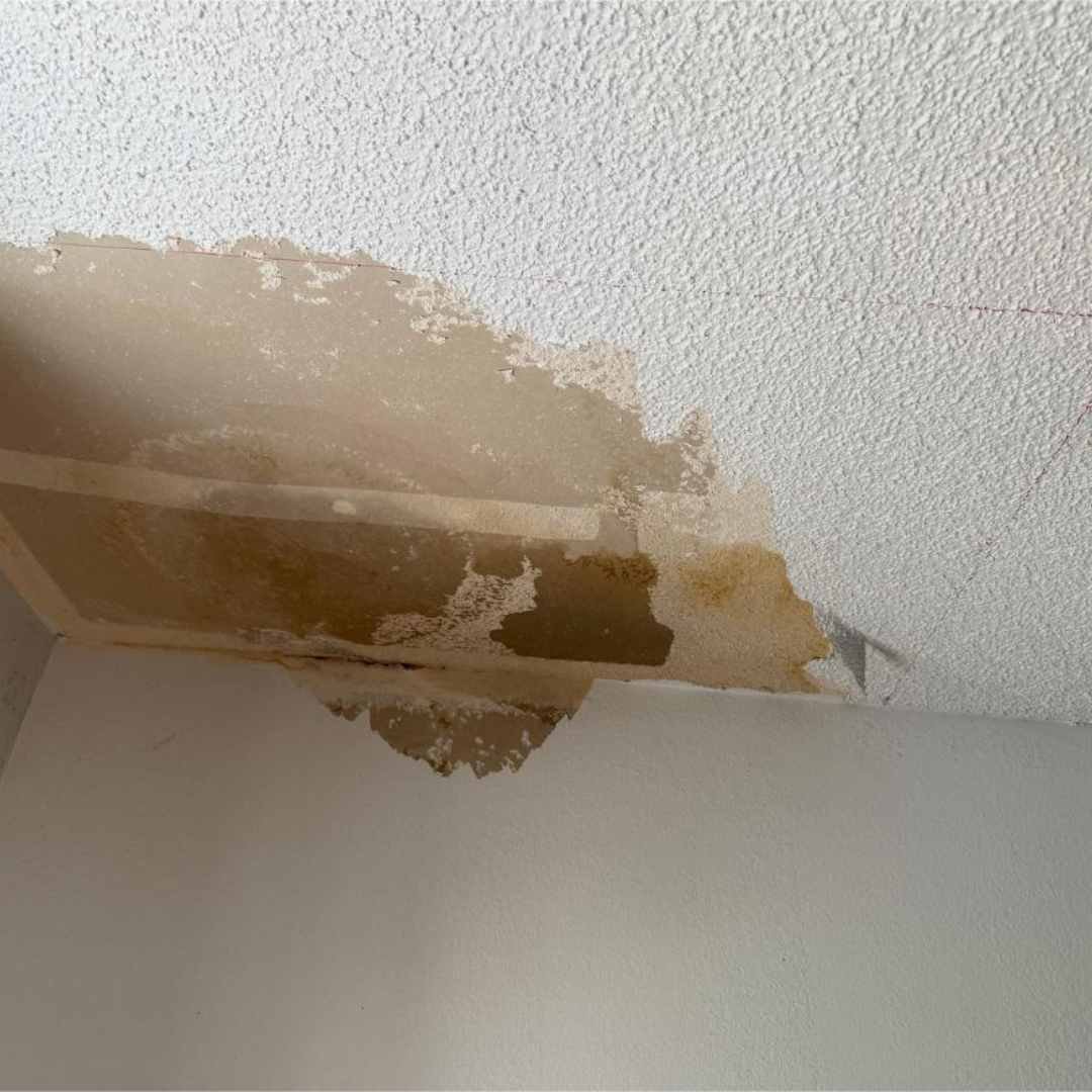 Drywall Repairs & Texture